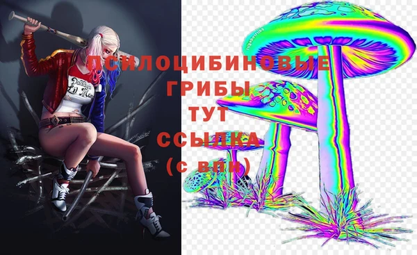 мяу мяу кристалл Медвежьегорск