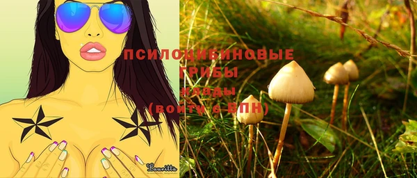 ALPHA PVP Мегион