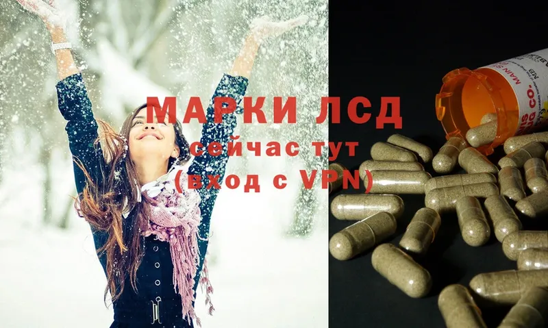 ЛСД экстази ecstasy  Чкаловск 