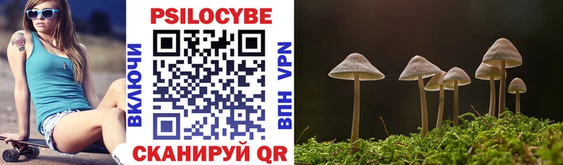 Псилоцибиновые грибы Magic Shrooms  Чкаловск 