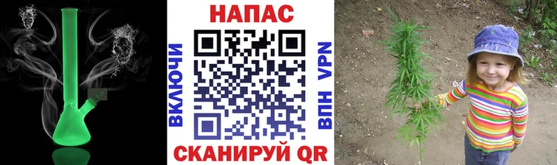 Каннабис план  наркошоп  Чкаловск 